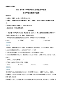 浙江省杭州北斗联盟2025-2026学年高二上学期11月期中联考试题生物试卷（含答案）