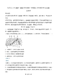 黑龙江省牡丹江市第二高级中学2025-2026学年高二上学期期中生物试卷（含答案）