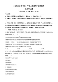 安徽省芜湖市师大附中2025-2026学年高一上学期11月期中生物试卷（Word版附解析）