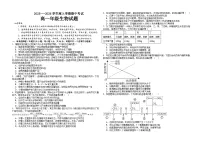 黑龙江省大庆市大庆中学2025-2026学年高一上学期11月期中考试生物试卷（Word版附答案）