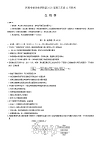 湖南省新高考教学教研联盟2026届高三上学期12月联考试题（长郡二十校联盟）生物 Word版含解析