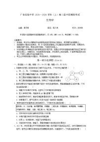 广东省实验中学2025-2026学年高二上学期11月期中考试生物试卷