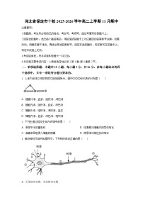 河北省保定市十校2025-2026学年高二上学期11月期中生物试卷（学生版）