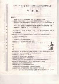 河北省保定市部分校2025-2026学年高一上学期11月考试生物试题（含答案）