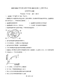 四川省成都华西中学2026届高三上学期期中考试生物试题（Word版附解析）