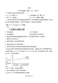 四川省成都市成华区某校2025-2026学年高二上学期期中生物试题（Word版附解析）