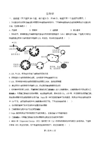 四川省成都市成华区某校2026届高三上学期期中生物试题（Word版附解析）