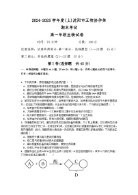 辽宁省沈阳市五校联考2024-2025学年度高一上学期期末考试生物试题(有答案)