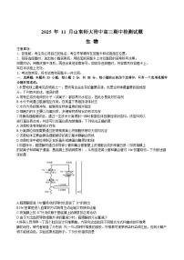 山东师范大学附属中学2026届高三上学期期中考试生物试卷（Word版附答案）