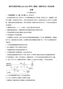 河南省郑州外国语学校2026届高三上学期11月期中生物试题（Word版附解析）