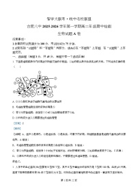 安徽省智学大联考皖中名校联盟（合肥市第八中学）2025-2026学年高二上学期11月期中考试生物（A卷）试题（Word版附解析）