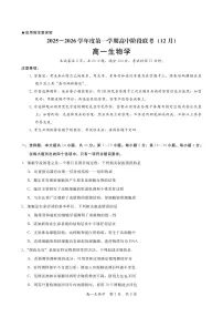 广东省多校联考2025-2026学年高一上学期12月期中生物试题（图片版，含答案）含答案解析