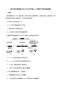 重庆市名校联盟2025-2026学年高二上学期第一次联合考试（11月期中）生物试卷（含答案）含答案解析