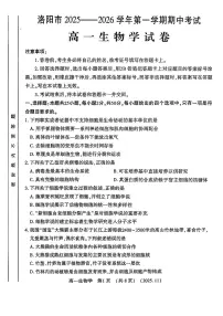 河南省洛阳市2025-2026学年高一上学期期中考试生物试卷含答案