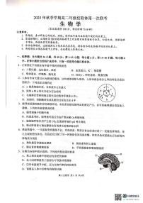 广西壮族自治区河池市十校联考2025-2026学年高二上学期10月月考生物试题含答案