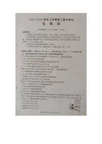 广西壮族自治区来宾市2025-2026学年高二上学期11月期中生物试题（含答案）