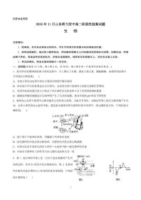 山东师范大学附属中学2025-2026学年高二上学期期中考试生物试题（PDF版含答案）