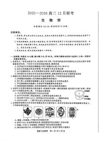 2025-2026学年高三上学期12月生物试题及答案