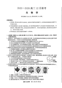 2025-2026学年高三上学期12月生物试题及答案