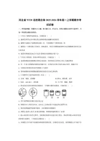 河北省NT20名校联合体2025-2026学年高一上学期期中考试生物试卷（学生版）