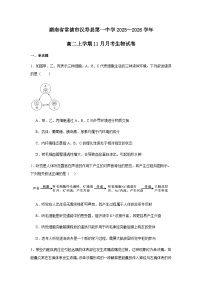 湖南省常德市汉寿县第一中学2025-2026学年高二上学期11月月考生物试题（含解析）含答案解析