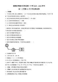 湖南省常德市汉寿县第一中学2025-2026学年高一上学期11月月考生物试题含答案含答案解析