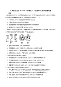 辽宁省辽西重点高中2025-2026学年高一上学期期中考试生物试卷（含答案）含答案解析