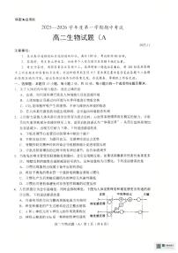 山东省菏泽市一中学2025-2026学年高二上学期期中考试生物试题（扫描版，有答案）含答案解析