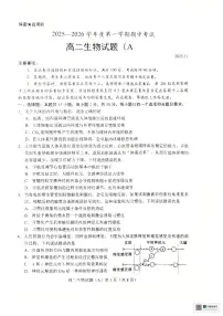 山东省菏泽市一中学2025-2026学年高二上学期期中考试生物试题（扫描版，有答案）含答案解析