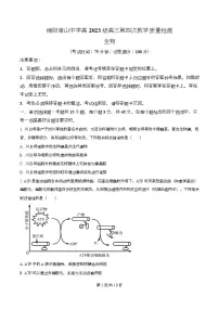 四川省绵阳市南山中学2026届高三上学期11月月考生物试卷（Word版含解析）