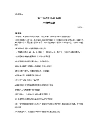 山东省潍坊市2026届高三上学期期中考试生物试卷（Word版附答案）