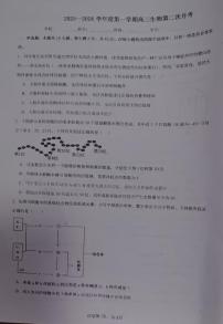 海南部分学校2025-2026学年高三上学期第二次月考生物试题