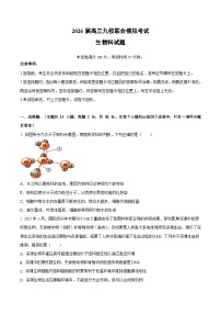 吉林省九校2026届高三上学期11月联合模拟考试 生物试卷（含答案)