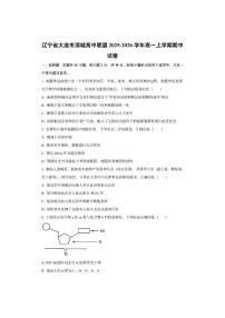 辽宁省大连市滨城高中联盟2025-2026学年高一上学期期中生物试卷（学生版）