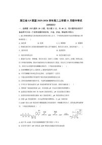 浙江省G5联盟2025-2026学年高二上学期11月期中考试生物试卷（学生版）