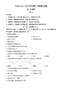 北京市大兴区高一上学期期末考试生物试卷（原卷版）-A4