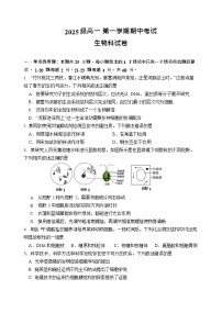 广东省汕头市金山中学2025-2026学年高一上学期期中考试生物试卷