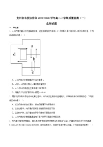 贵州省名校协作体2025-2026学年高二上学期期中质量监测（一）生物试题（Word版附答案）