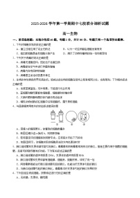 江苏省南京市七校2025-2026学年高一上学期期中联合调研生物试题（Word版附答案）
