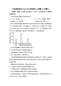 山东省泰安市2025-2026学年高二上学期11月期中生物试卷（学生版）