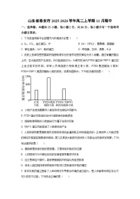 山东省泰安市2025-2026学年高二上学期11月期中生物试卷（学生版）