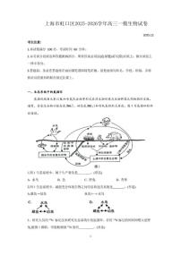 2026届上海市虹口区高三一模生物试卷和参考答案