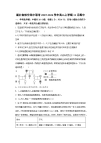 湖北省部分高中联考2025-2026学年高二上学期11月期中生物试卷（学生版）