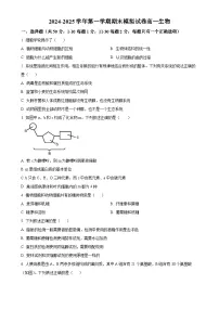 北京市清华大学附属中学望京学校高一上学期12月期末模拟考试生物试题（原卷版）-A4