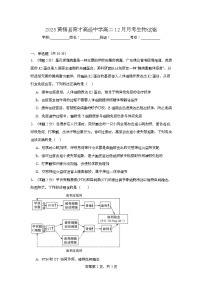 湖北省黄冈市黄梅县育才高级中学2025-2026学年高二上学期12月月考生物试卷（Word版附解析）