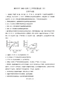 湖北省襄阳市第四中学2026届高三上学期12月月考生物试卷（Word版附解析）