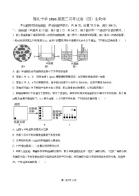 湖南省长沙市雅礼中学2026届高三上学期月考（四）生物试卷（Word版附解析）