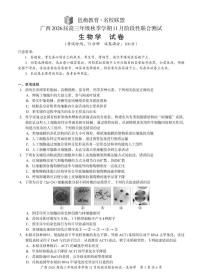 广西邕衡教育·名校联盟广西2026届高三年级上学期11月份阶段性联合测试生物试卷+答案
