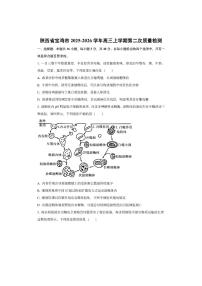 陕西省宝鸡市2025-2026学年高三上学期第二次质量检测生物试卷（学生版）