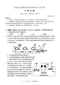 重庆市西南大学附属中学校2025-2026学年高三上学期12月月考生物试题（含答案）含答案解析
